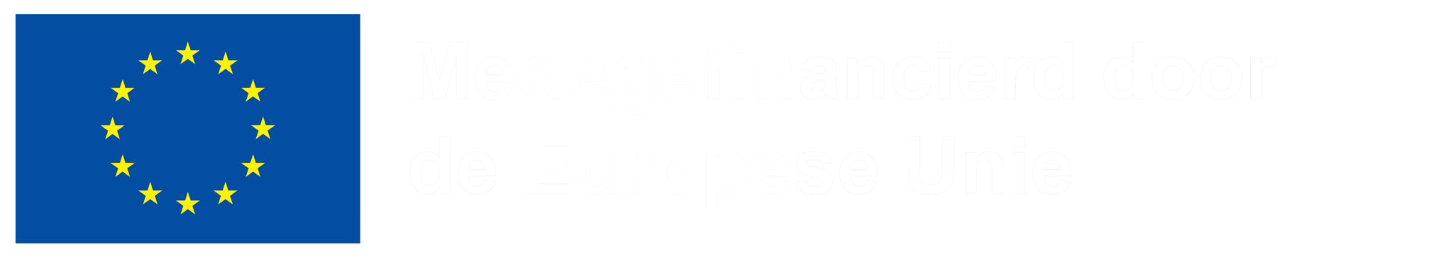 NL Medegefinancierd door de Europese Unie POS wit6